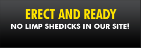 erect shecocks